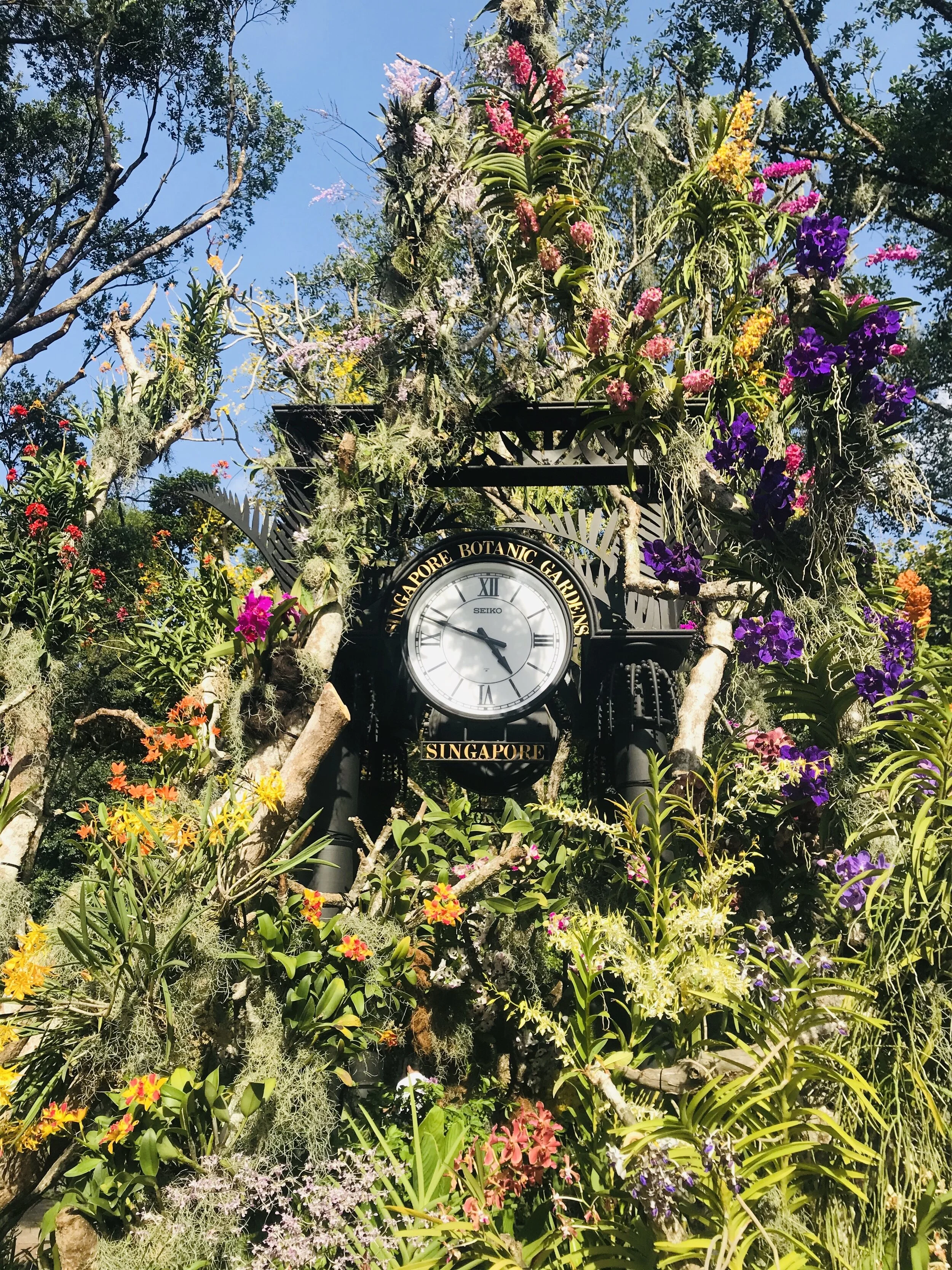 This is a clock at the botanical gardens that is blanketed in flowers